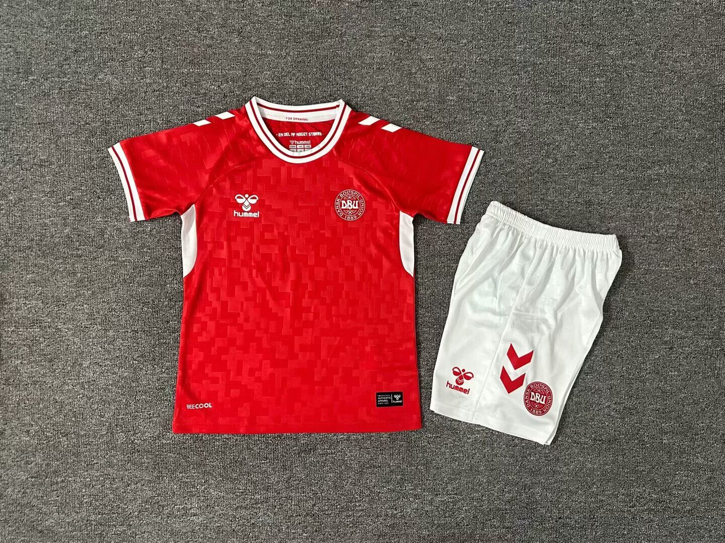 Kids-Denmark 2024 Euro Home Soccer Jersey